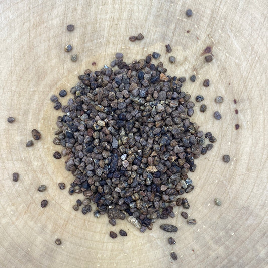 Cardamom Seed