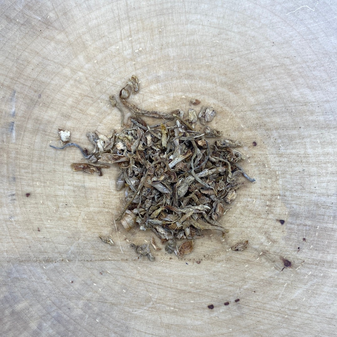 Day Lily Root