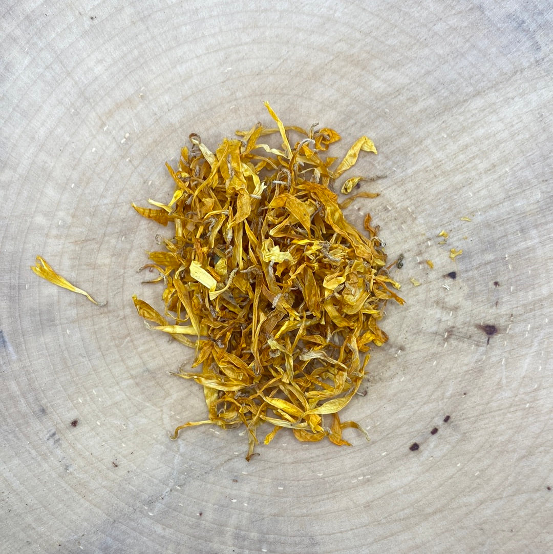 Calendula