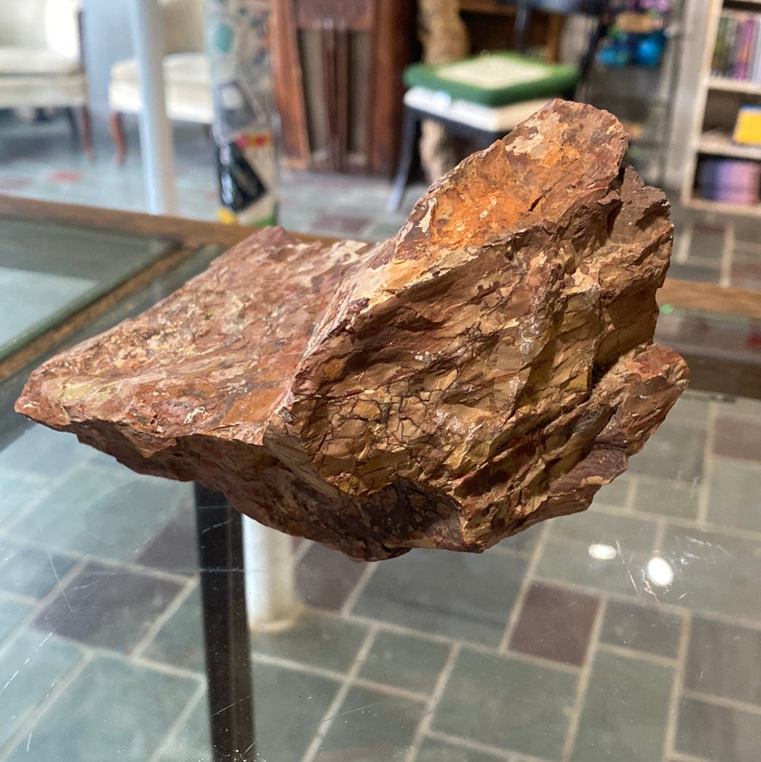 Nevada Jasper