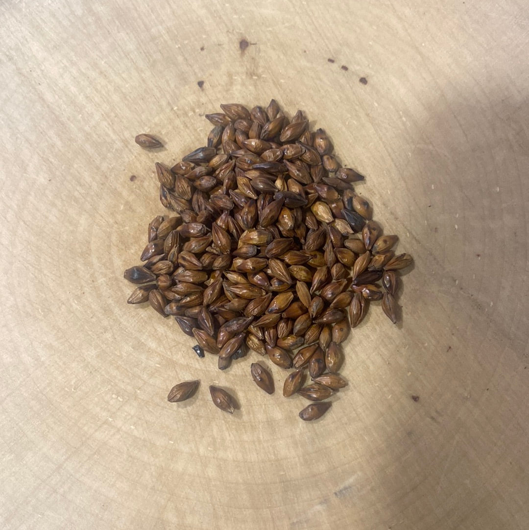 Roasted Barley Tea