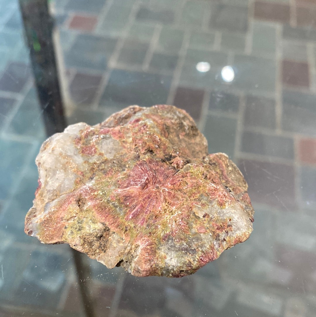 Nevada Jasper