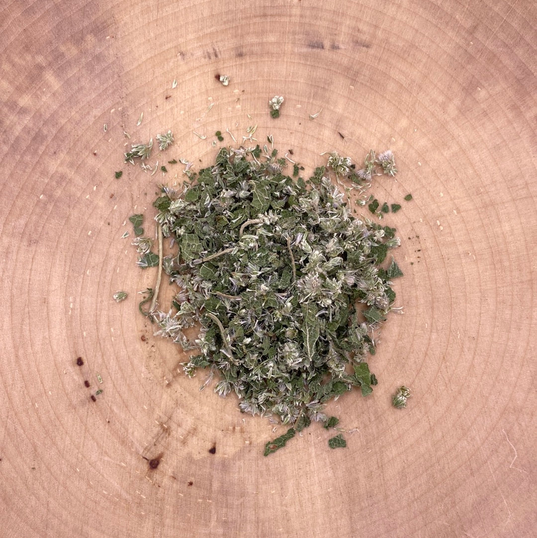 Boneset