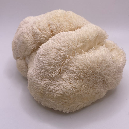 Fresh Mushrooms!!