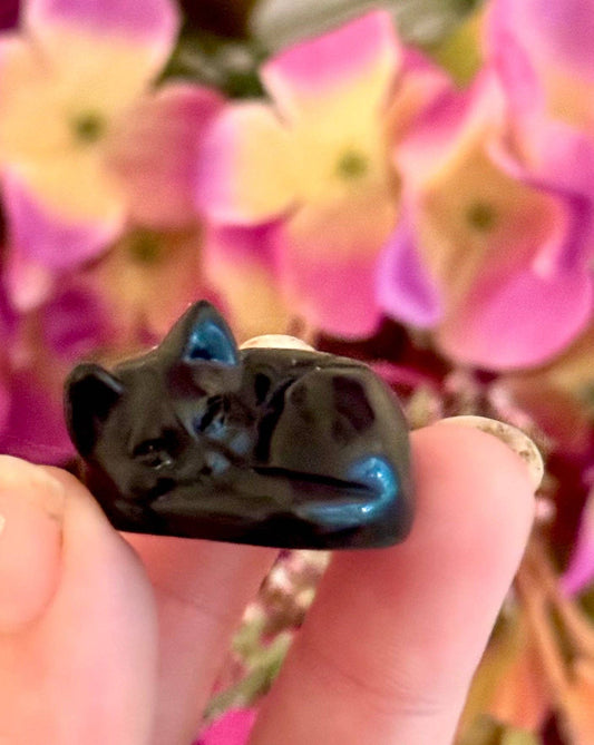 Black Obsidian Cat