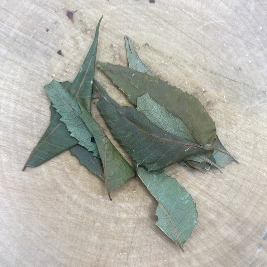 Neem leaves