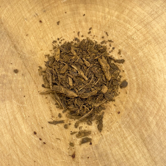 Japanese Knotweed Root