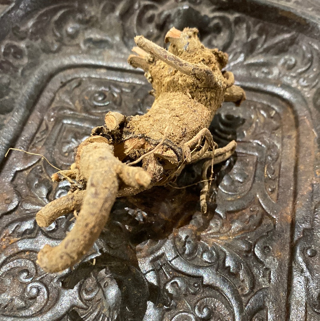 Ashwagandha Root