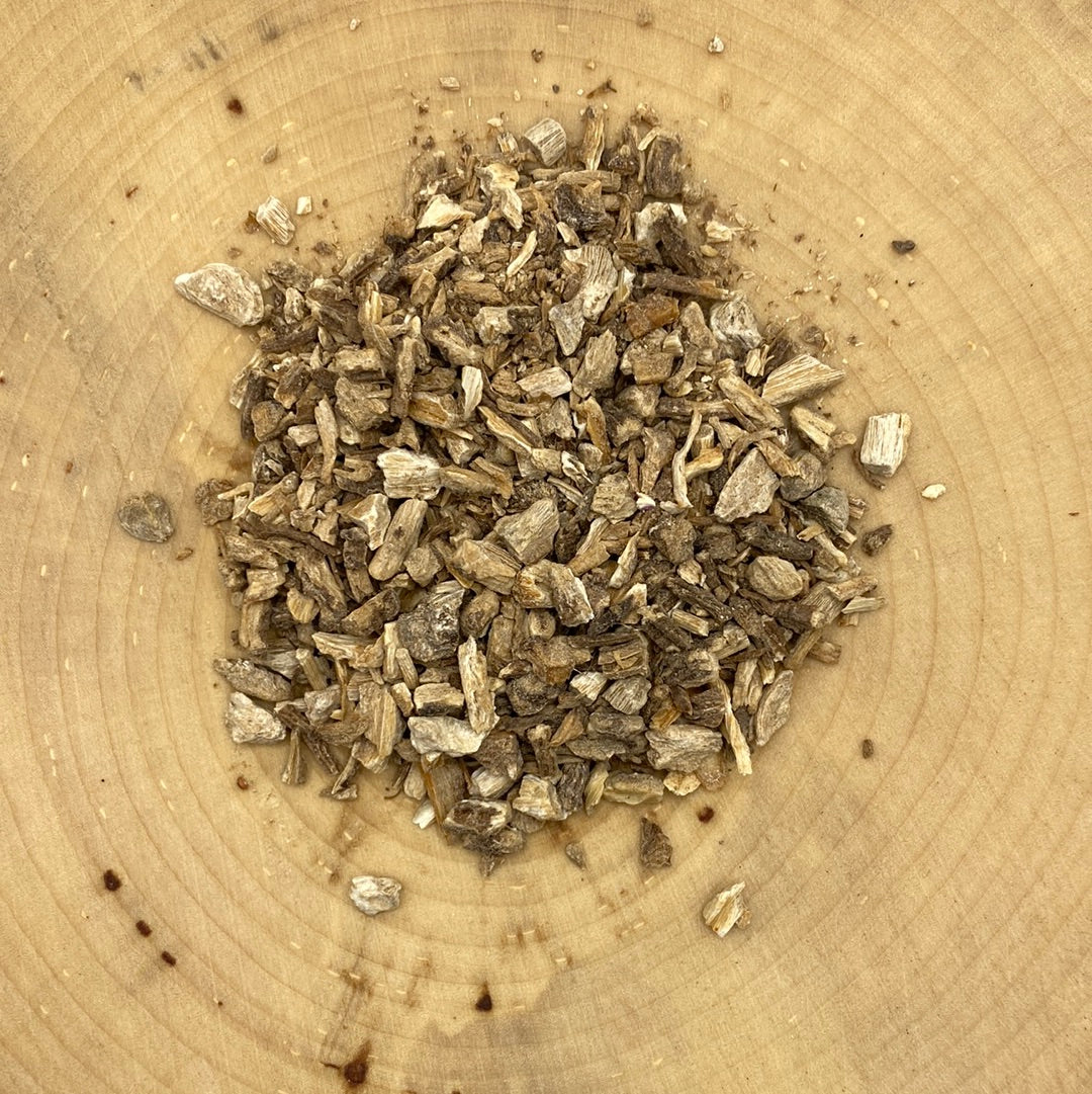 Angelica Root