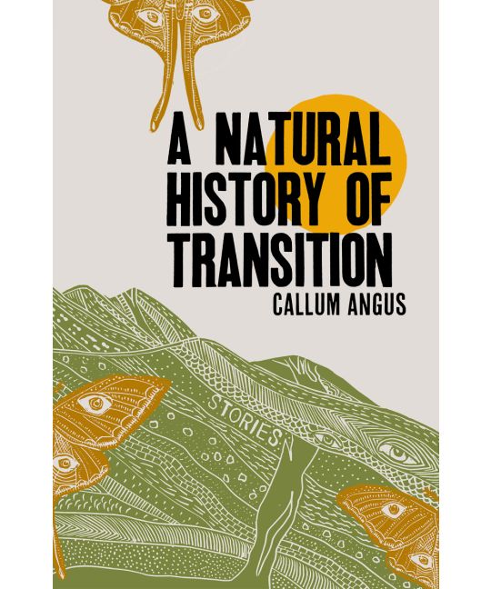 A Natural History of Transition