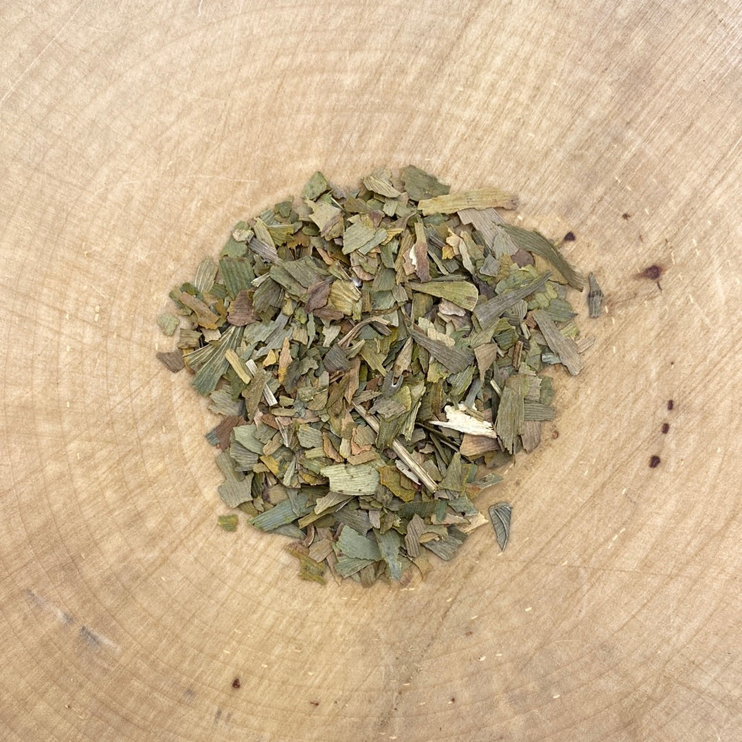 Ginkgo Leaf
