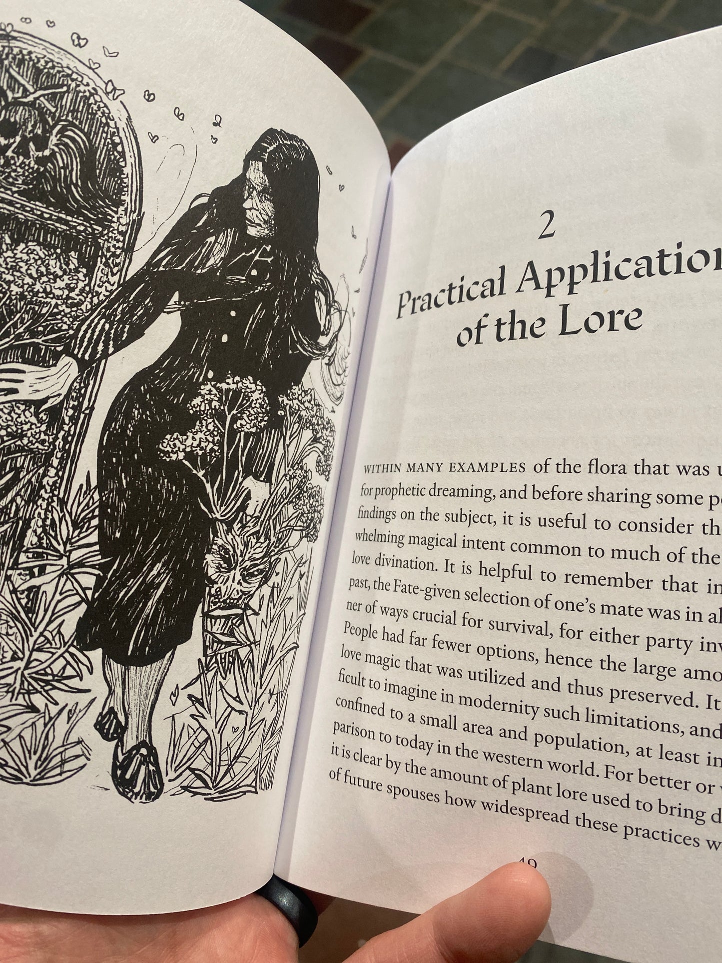 Dream Divination Plants