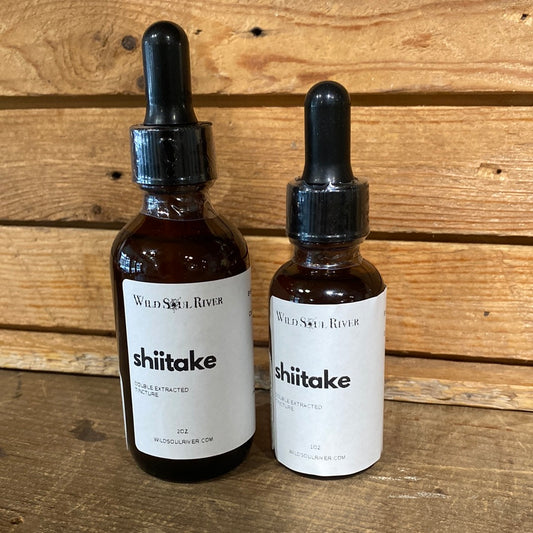 Shiitake Mushroom Tincture