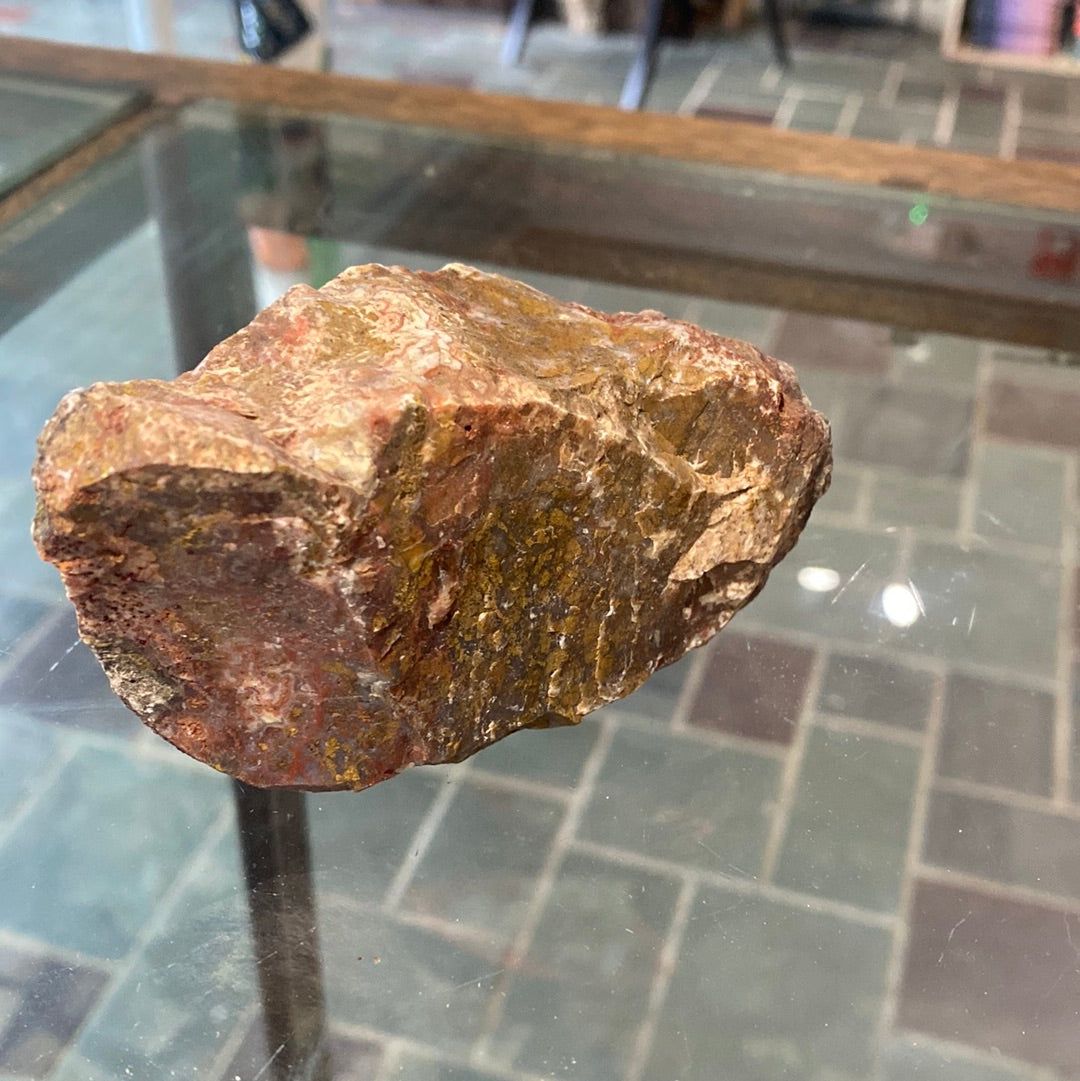 Nevada Jasper