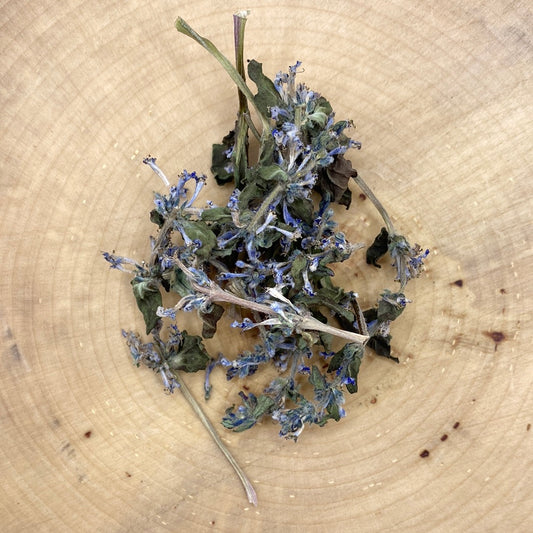 Bugleweed