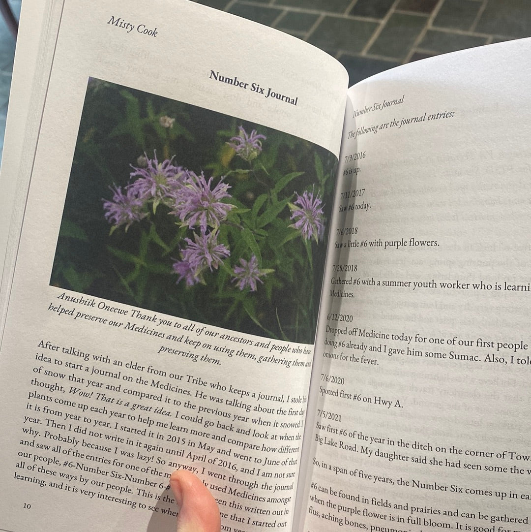 Along the Many Trails: A Journal of Contemporary Literature by the Mohican People