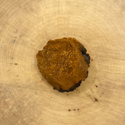 Chaga
