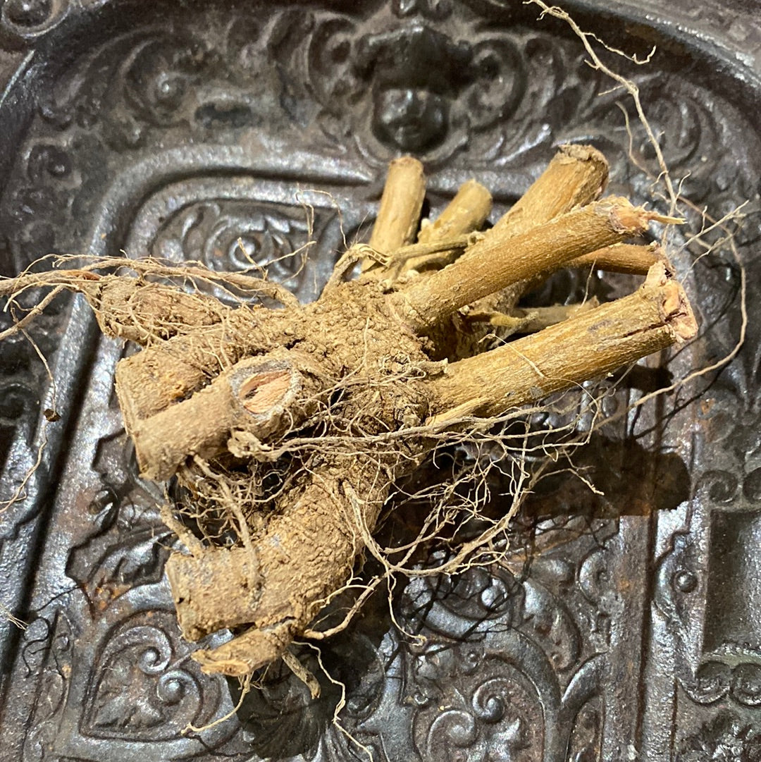 Ashwagandha Root