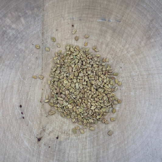 Fenugreek Seed