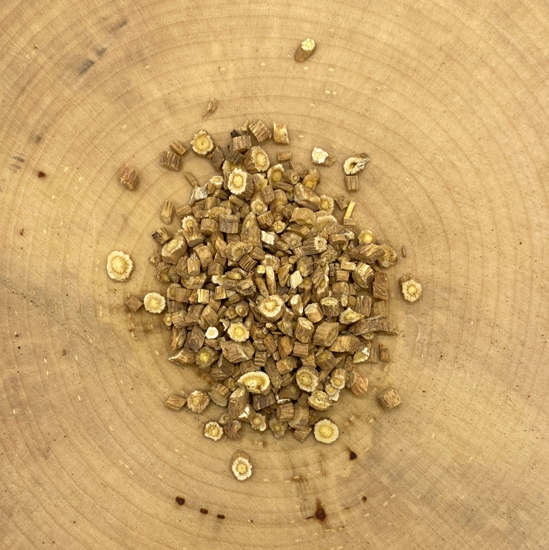 Astragalus