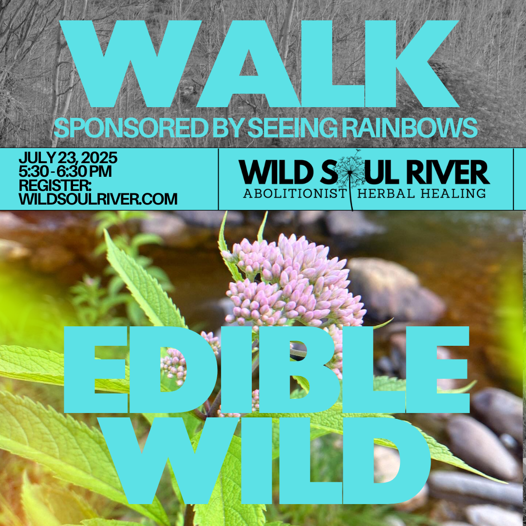 July Edible/Medicinal Plant Walk (7/23/25)