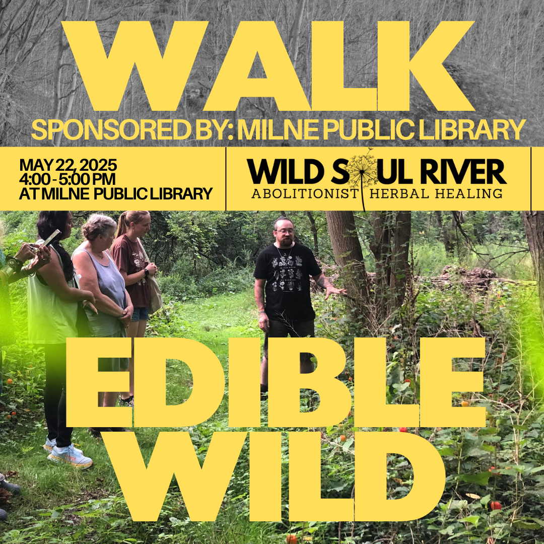 May Edible/Medicinal Plant Walk (5/22/25)