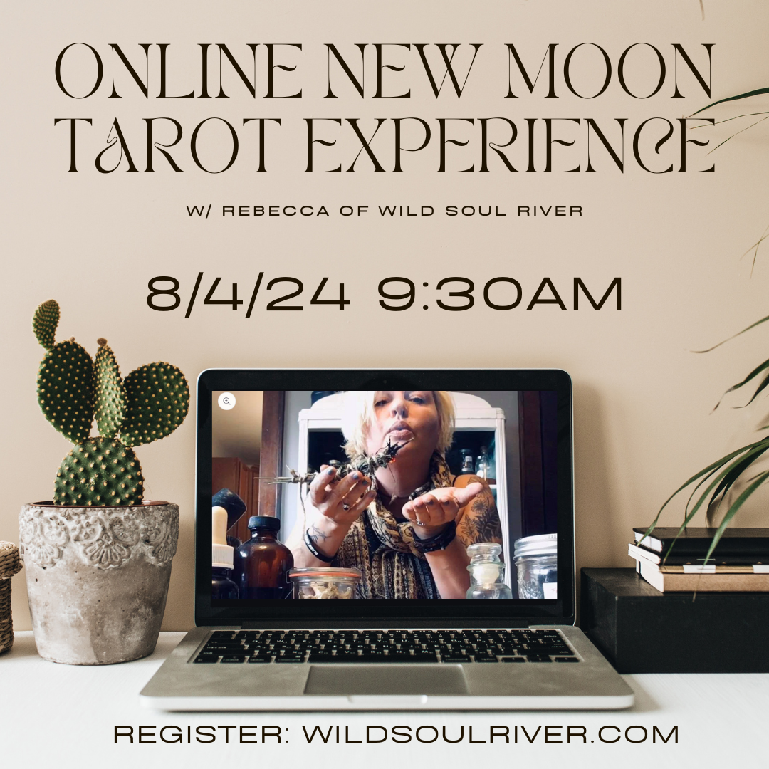 Online New Moon/Tarot Experience (8/4/24)