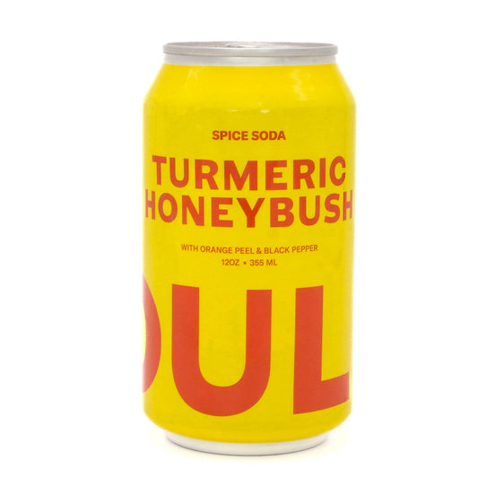 Turmeric Honeybush Spice Soda (Case of 12)