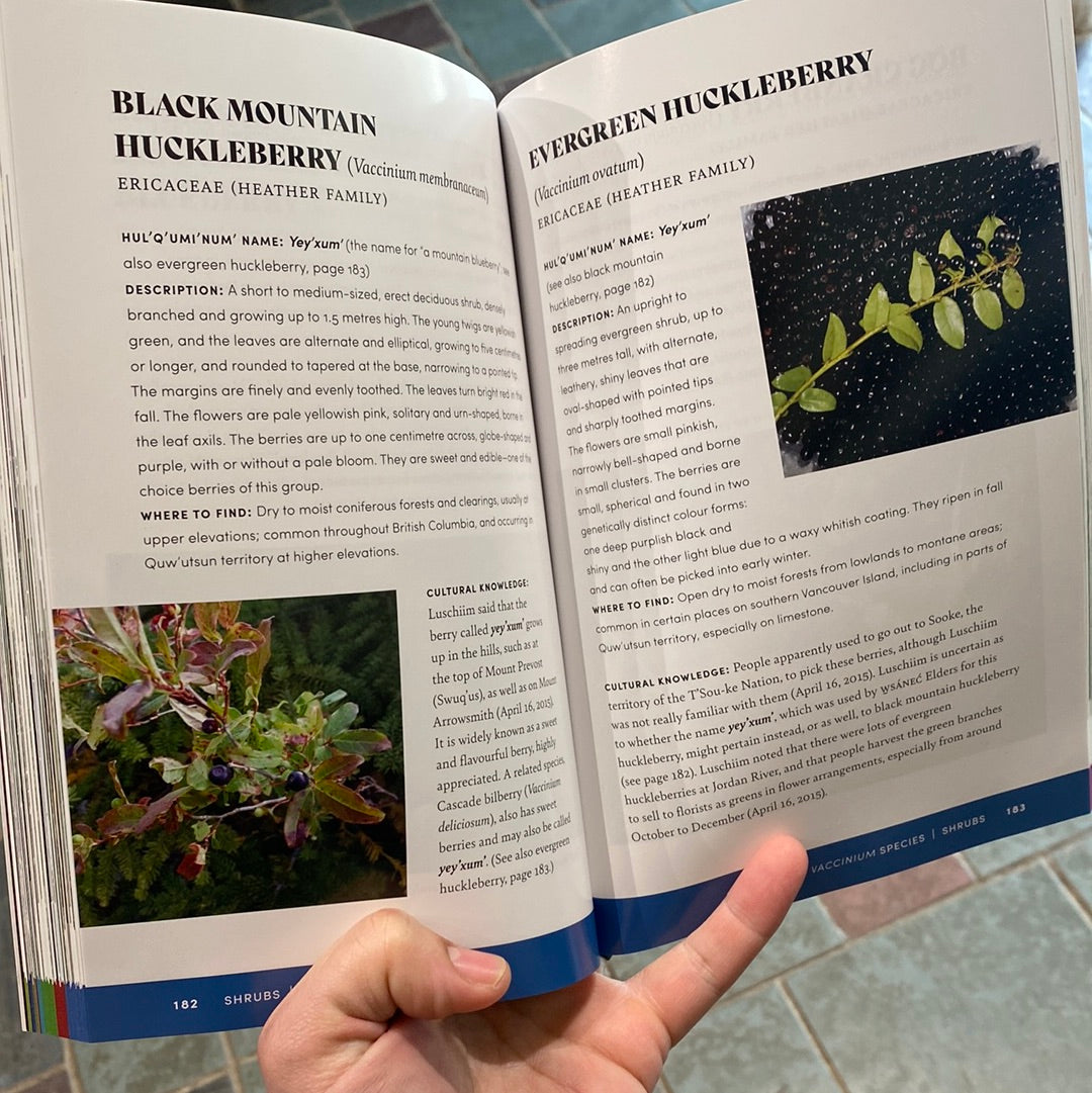 Luschiim’s Plants: Traditional Indigenous Foods, Materials and Medicines