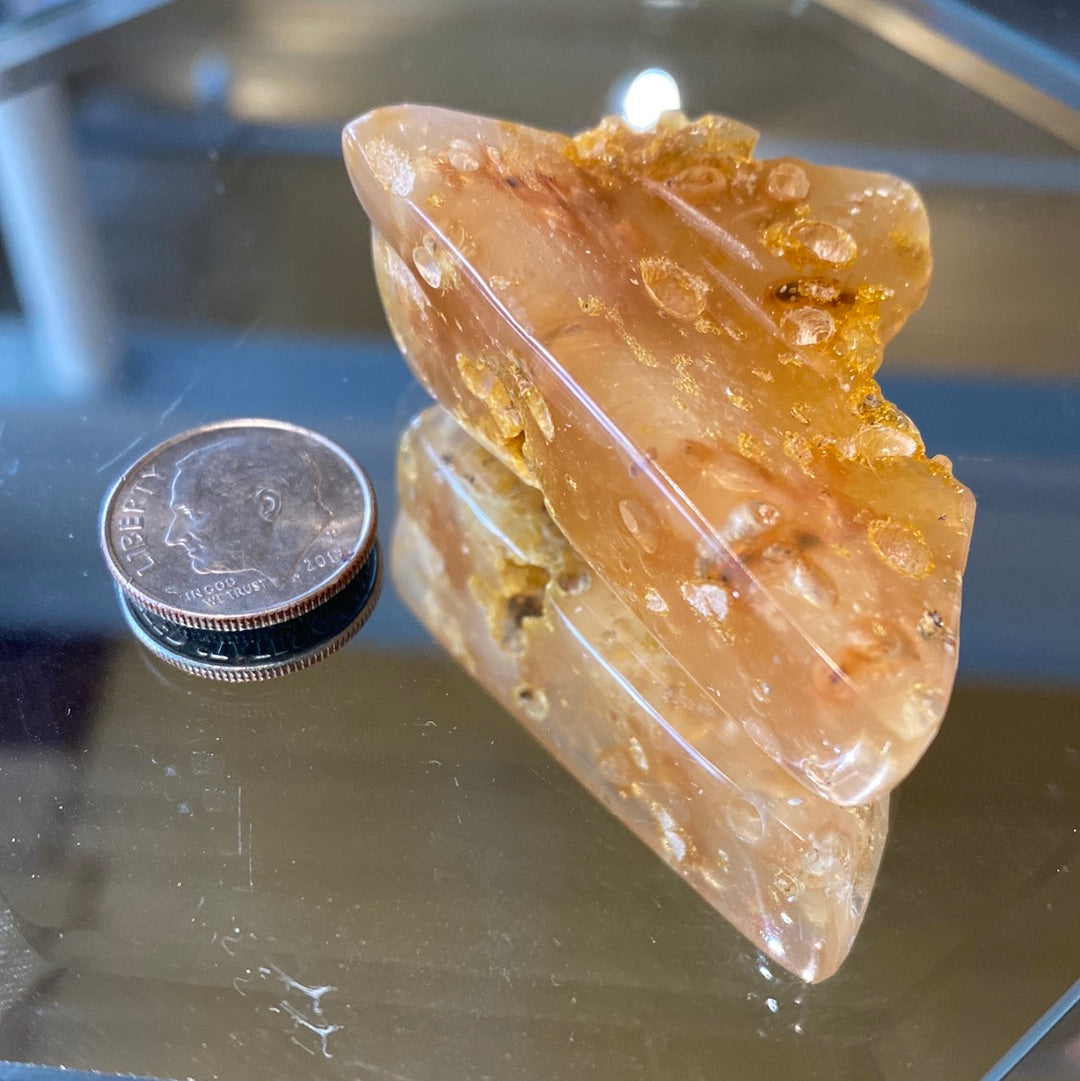 Amber with insects