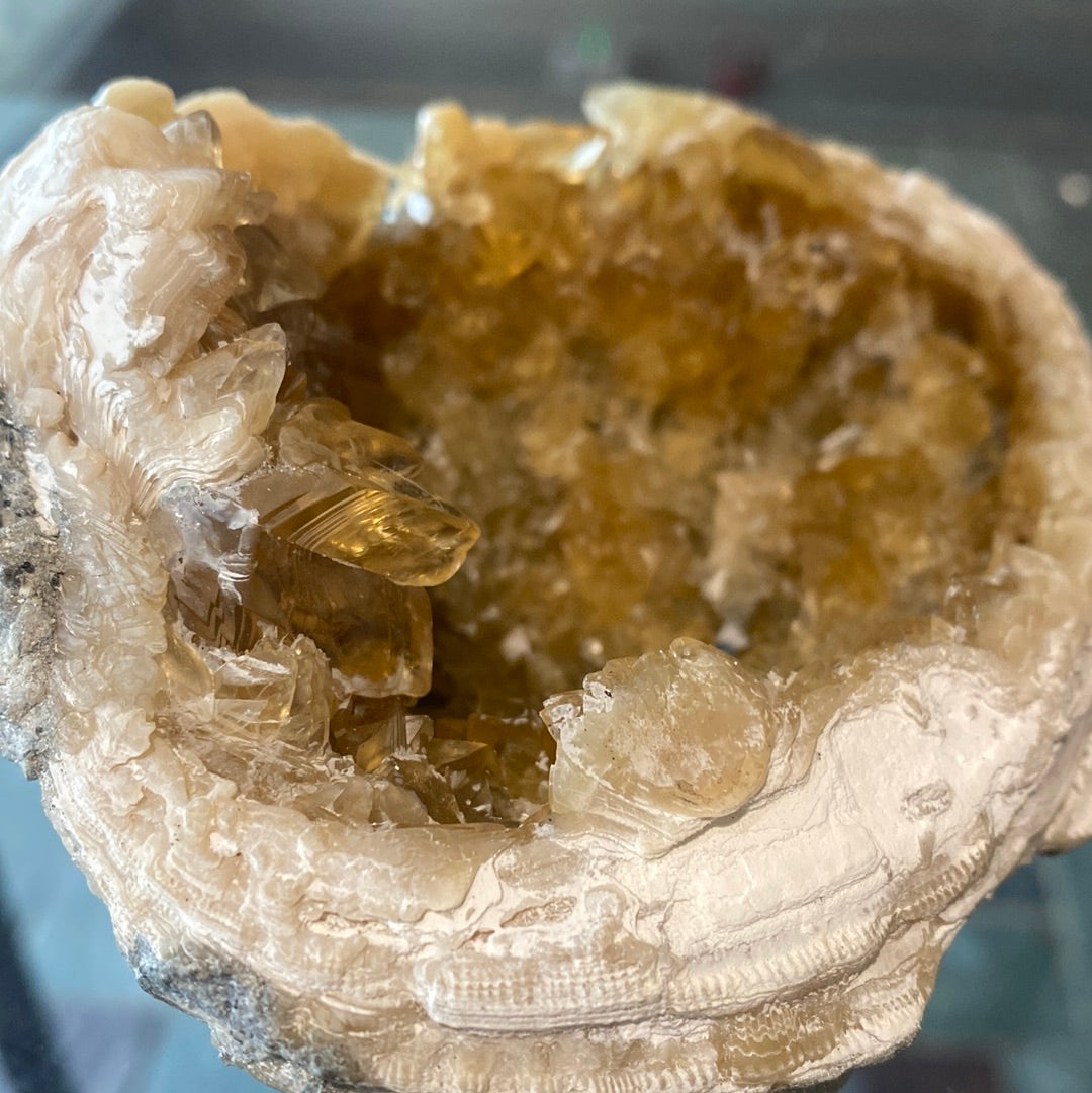 Calcite in Clam Fossil