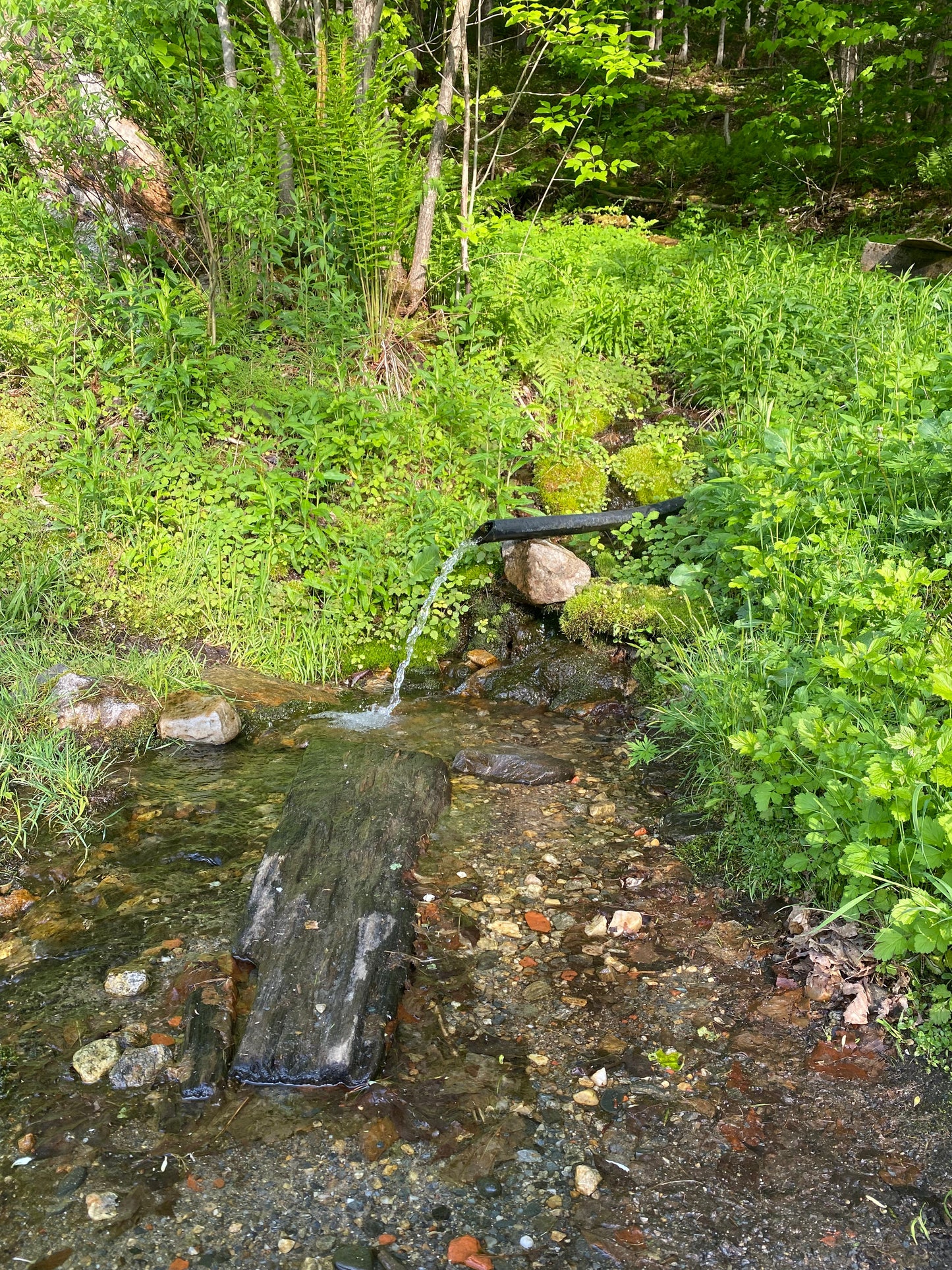Rock Water Environmental Essence