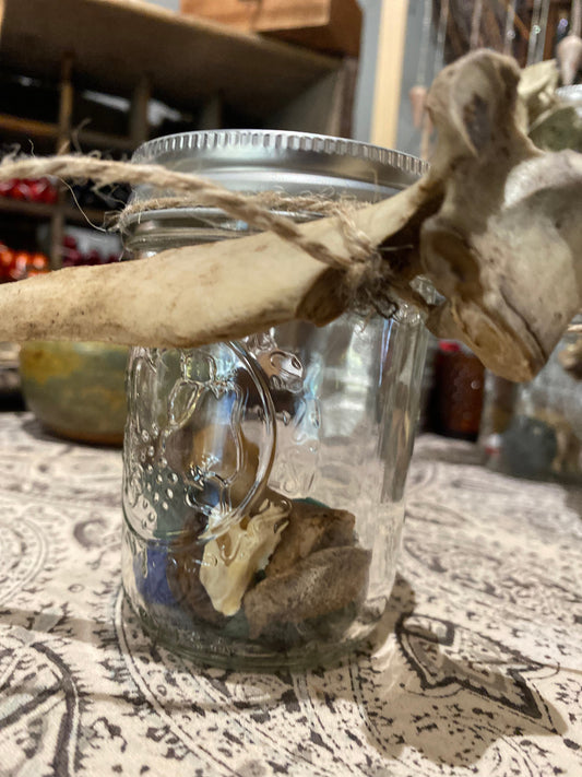 Bone throwing starter kit