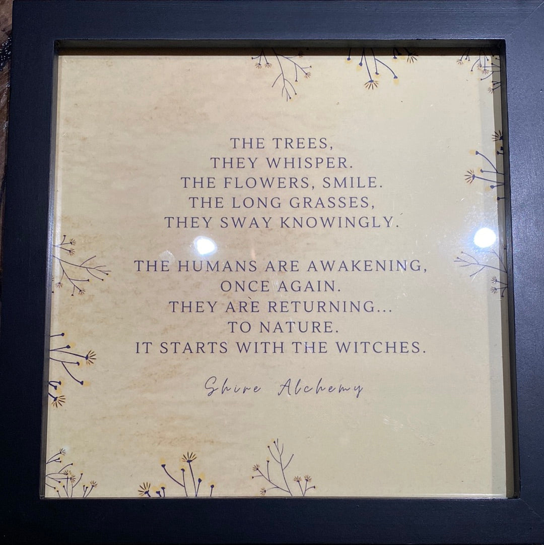 Medium Framed Prints