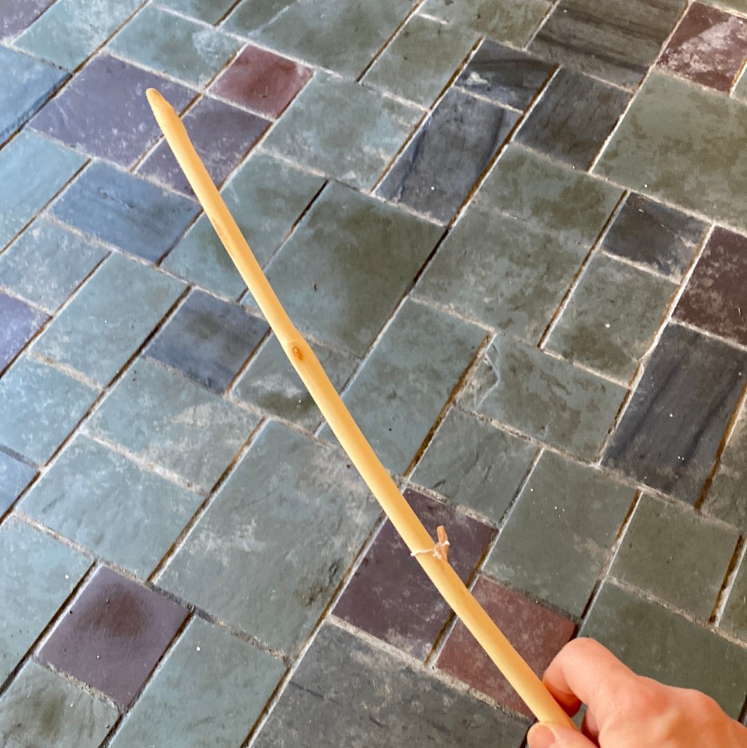 Black Locust Wand