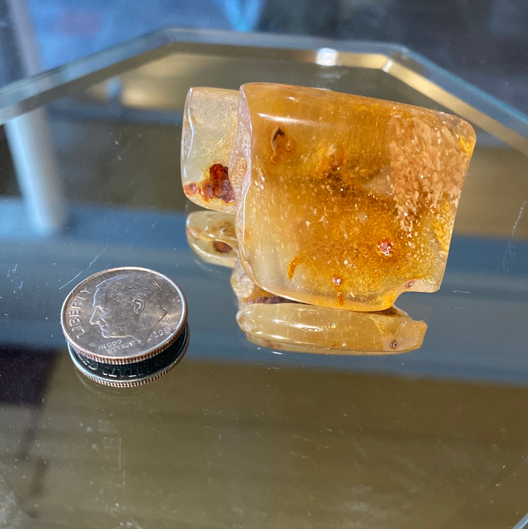 Amber with insects