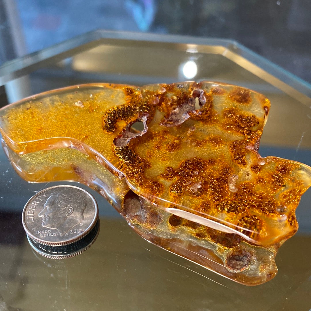 Amber with insects