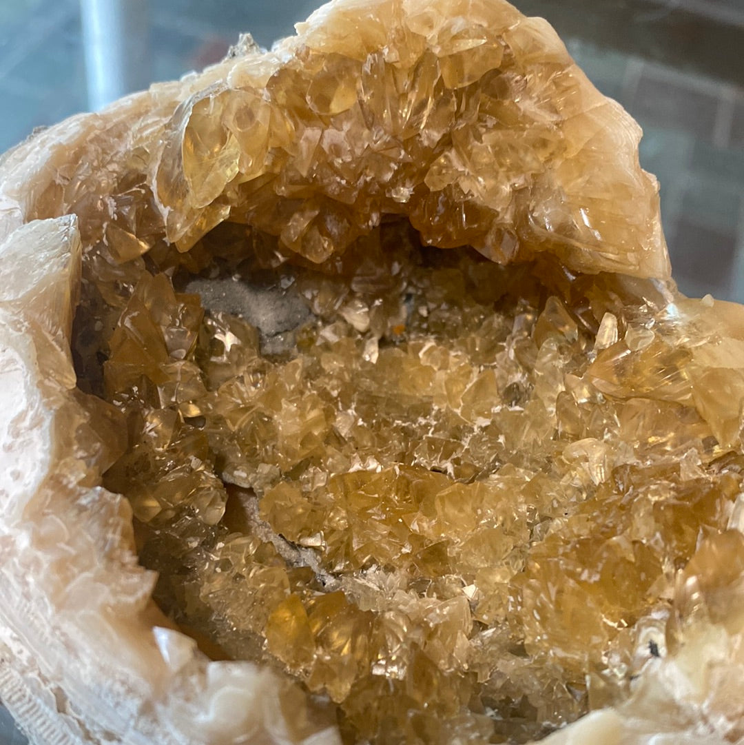 Calcite in Clam Fossil