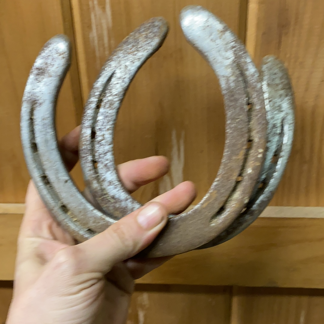 Local Horseshoes