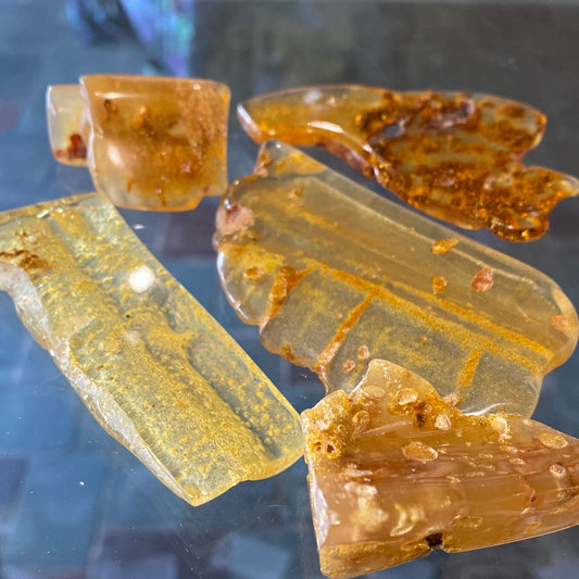 Amber with insects