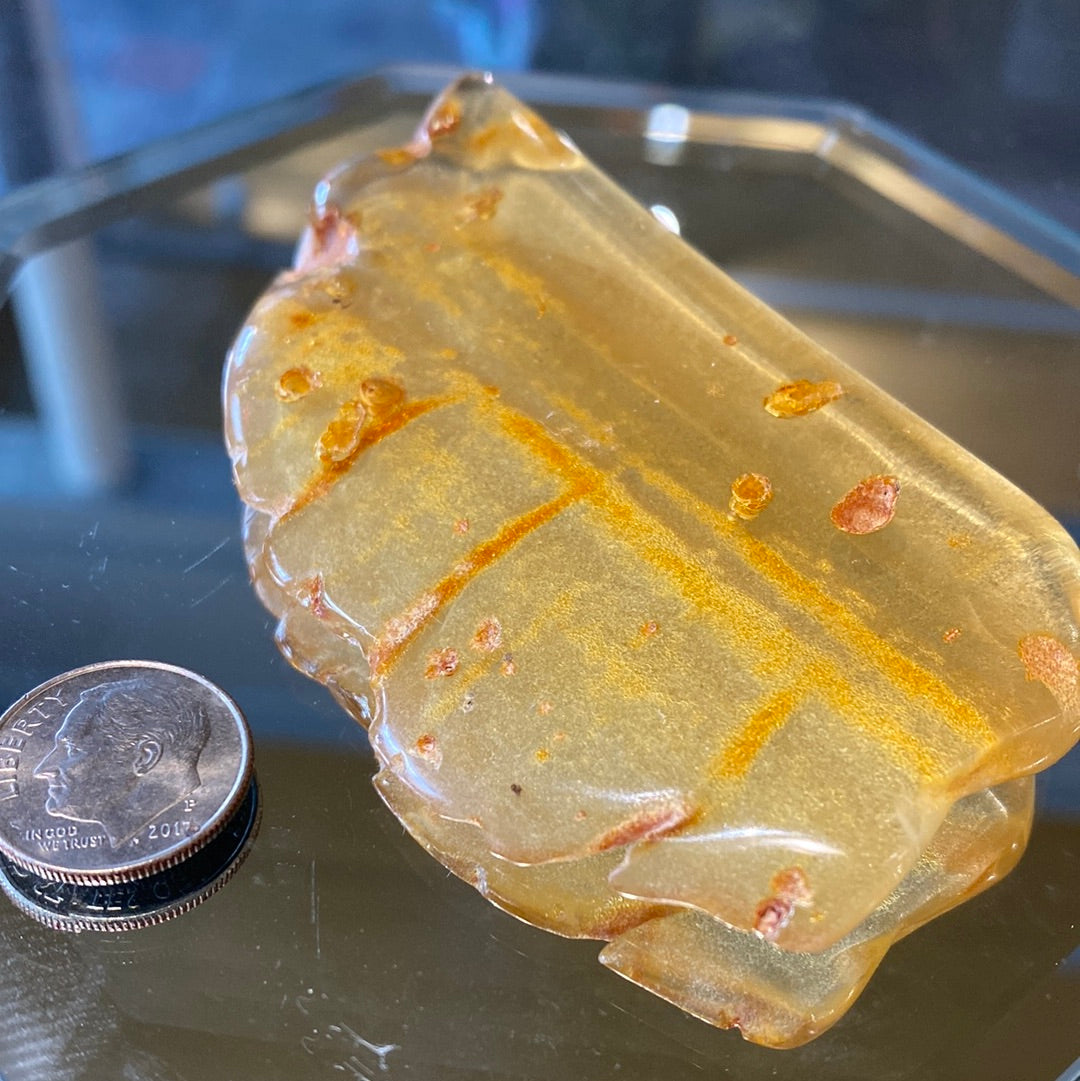 Amber with insects