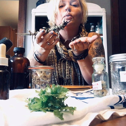 Initial Herbal Consultation