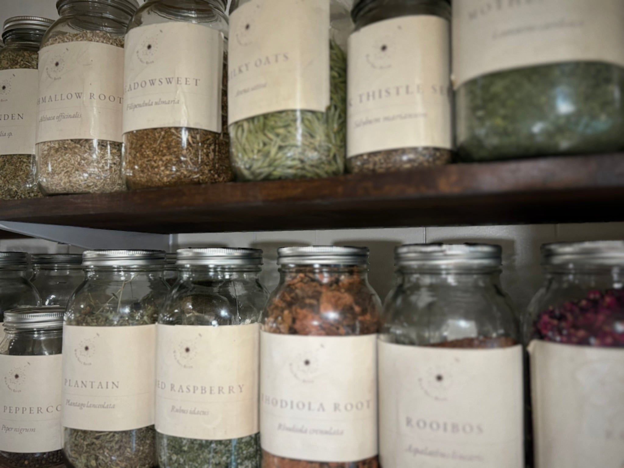 Bulk Herbs