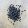 Papaya Seed