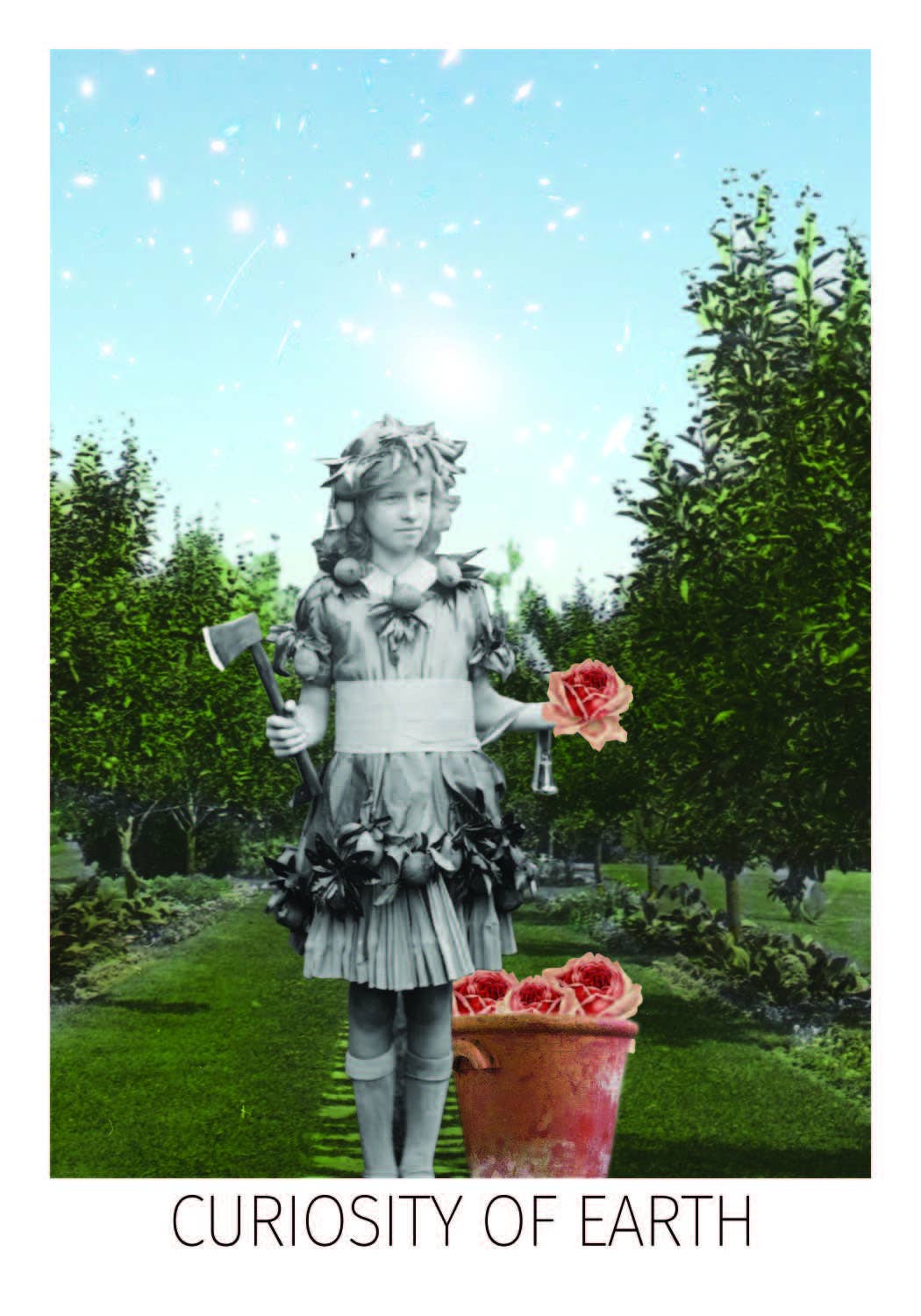 The Rosebud Tarot: 78 Cards & 96 Page Full-Color Guidebook