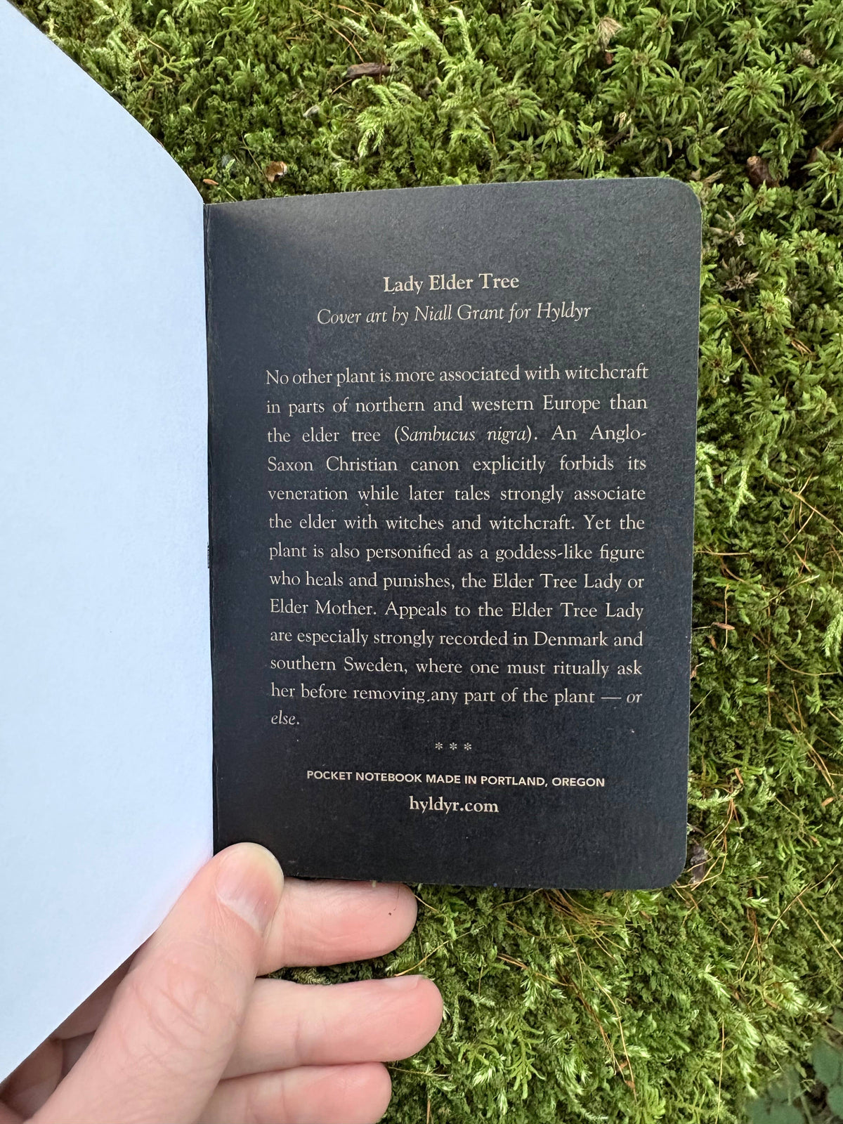 Elder Tree Lady Pocket Notebook (Made in USA)