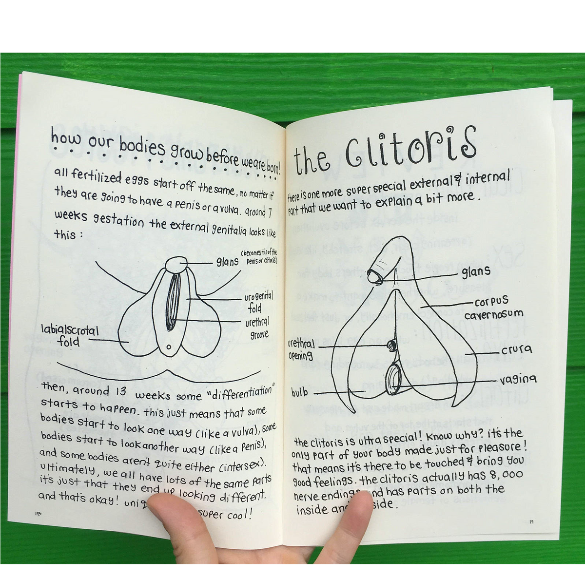 Awesome Ovaries (Zine)