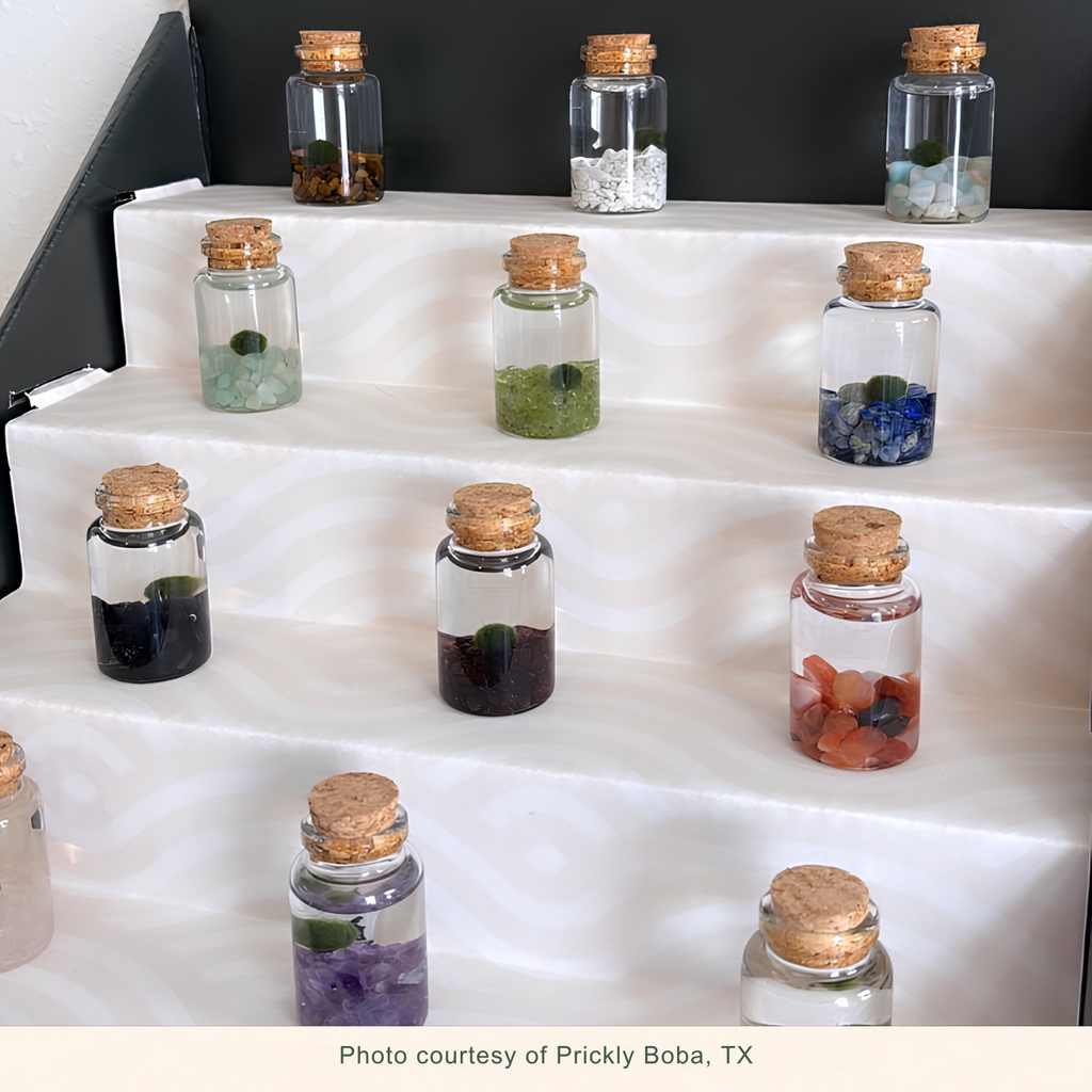 Multigemstone Nino Kit