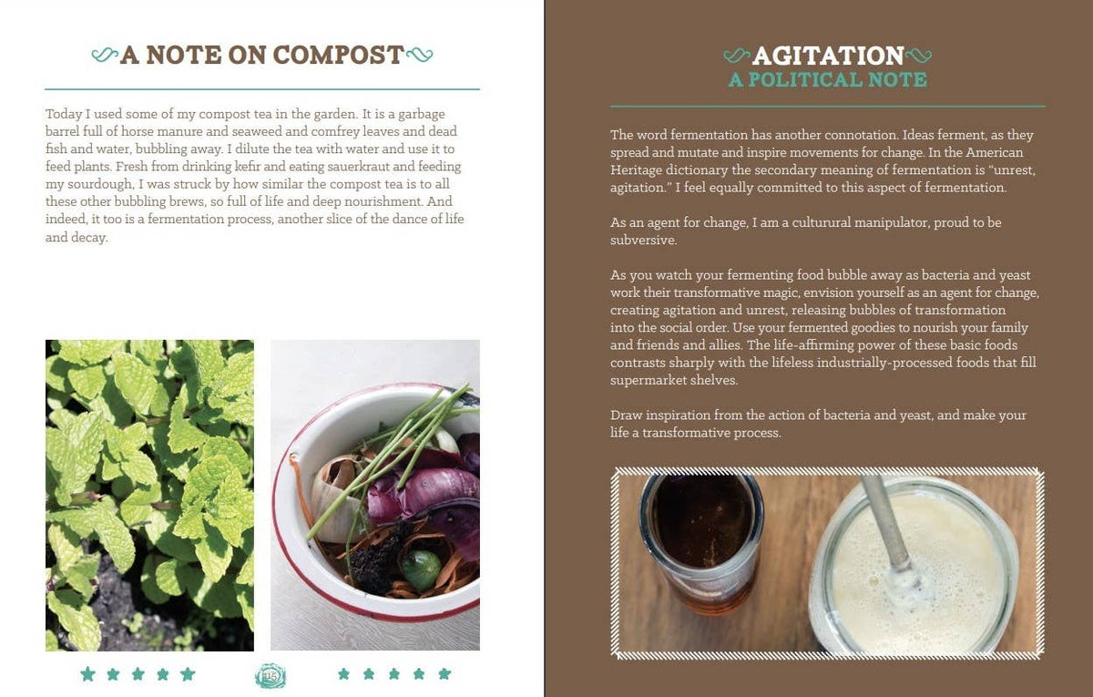 Basic Fermentation: A DIY Guide to Cultural Manipulation