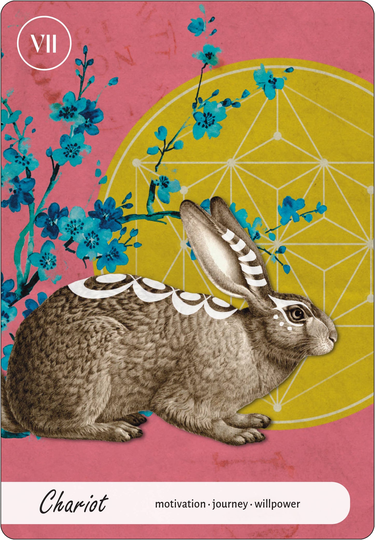 Wise Earth Medicine Tarot: 78 Cards & 96 Page Guidebook